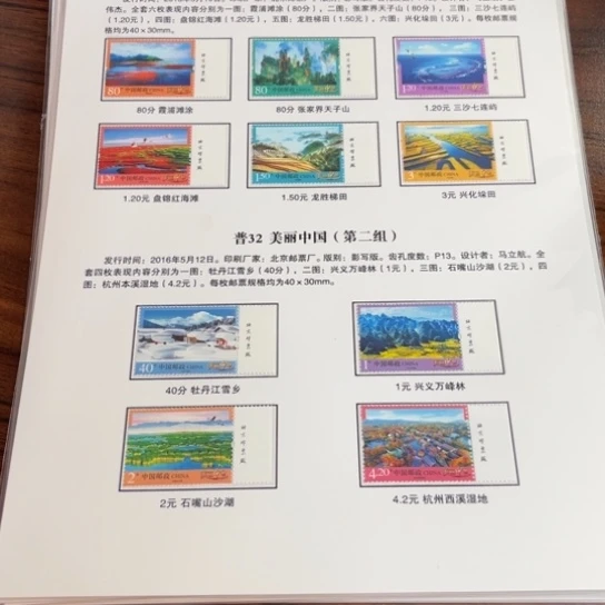 南*普32 右厂铭贴片