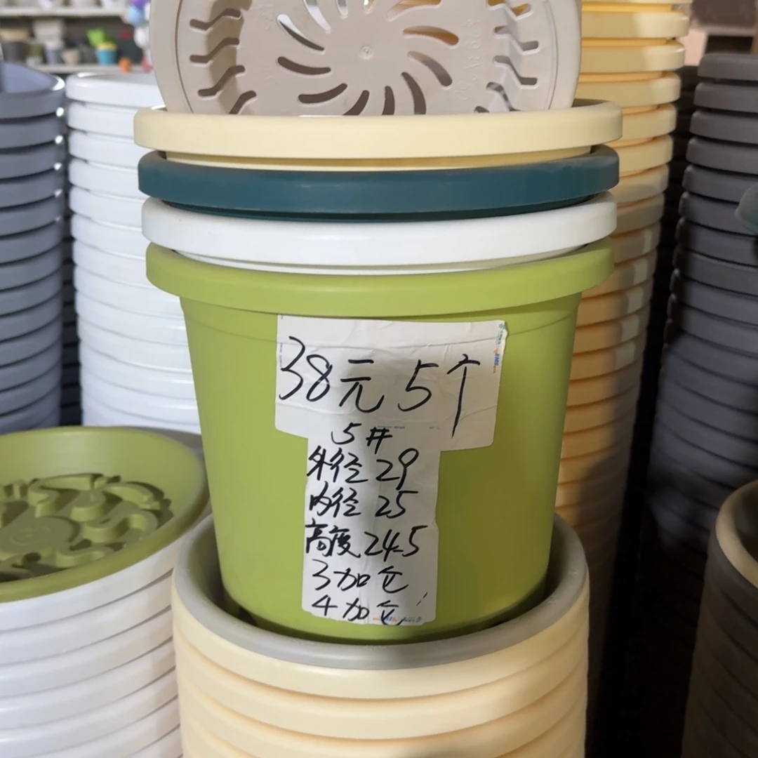 四季5#口径29无拖果绿10个