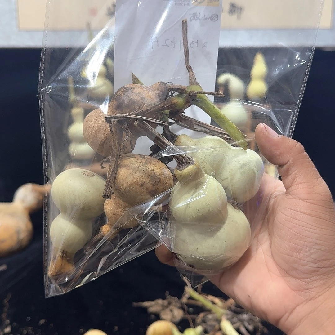 **** 定向定向定向定向