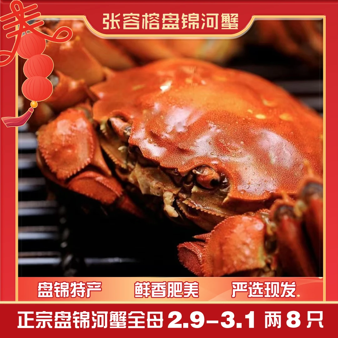 盘锦河蟹精品全母蟹2.9两-3.1两 8只
