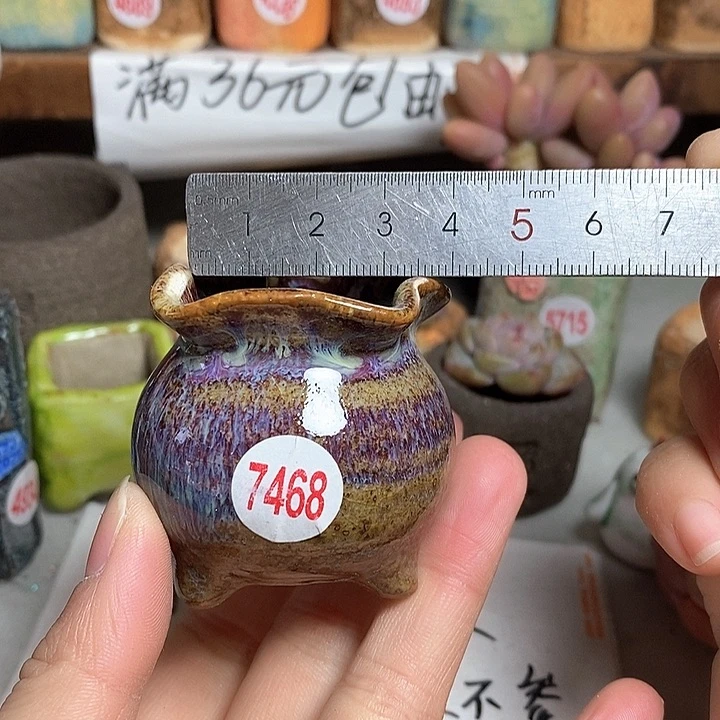 红陶拍5送一个小