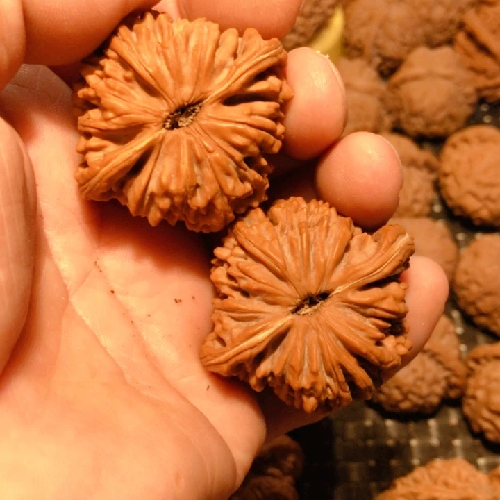 文玩核桃吊坠甜****嘎老树四座楼