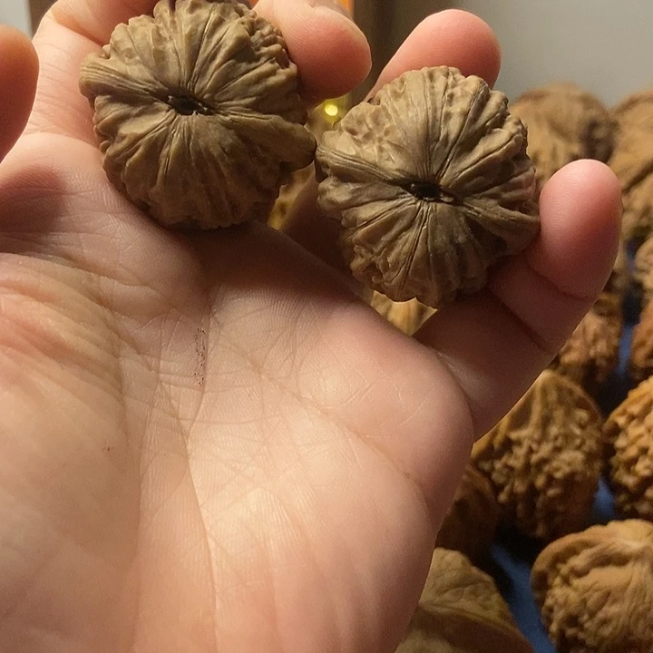 文玩核桃  铁锤妹妹35