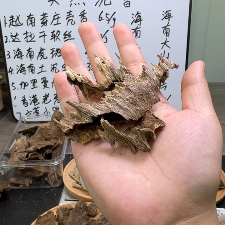 海南临高吊齿香7克