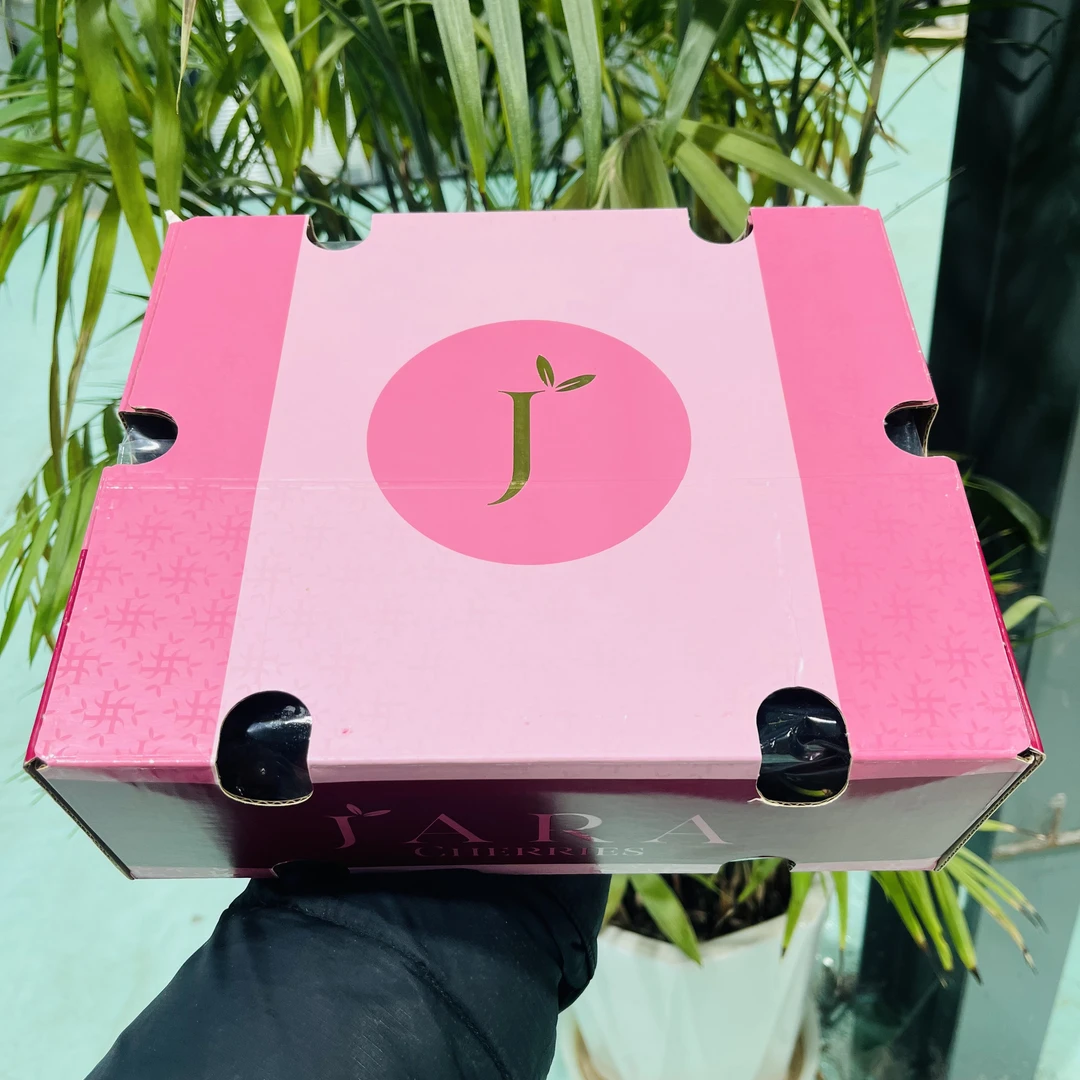 【粉箱11】4JD加大桑提娜 海运车厘子净重五斤 只发天津内附果径卡