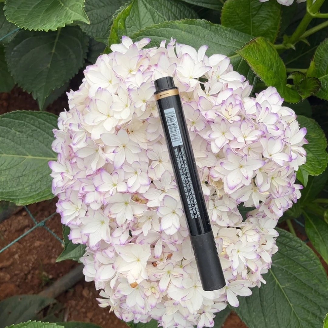 94 号绣球花一支（3支包邮）