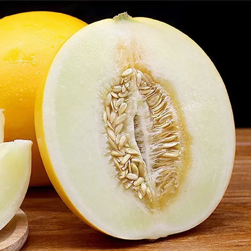 【黄河蜜瓜】果肉鲜嫩 建议常温存放3天 甜度更高