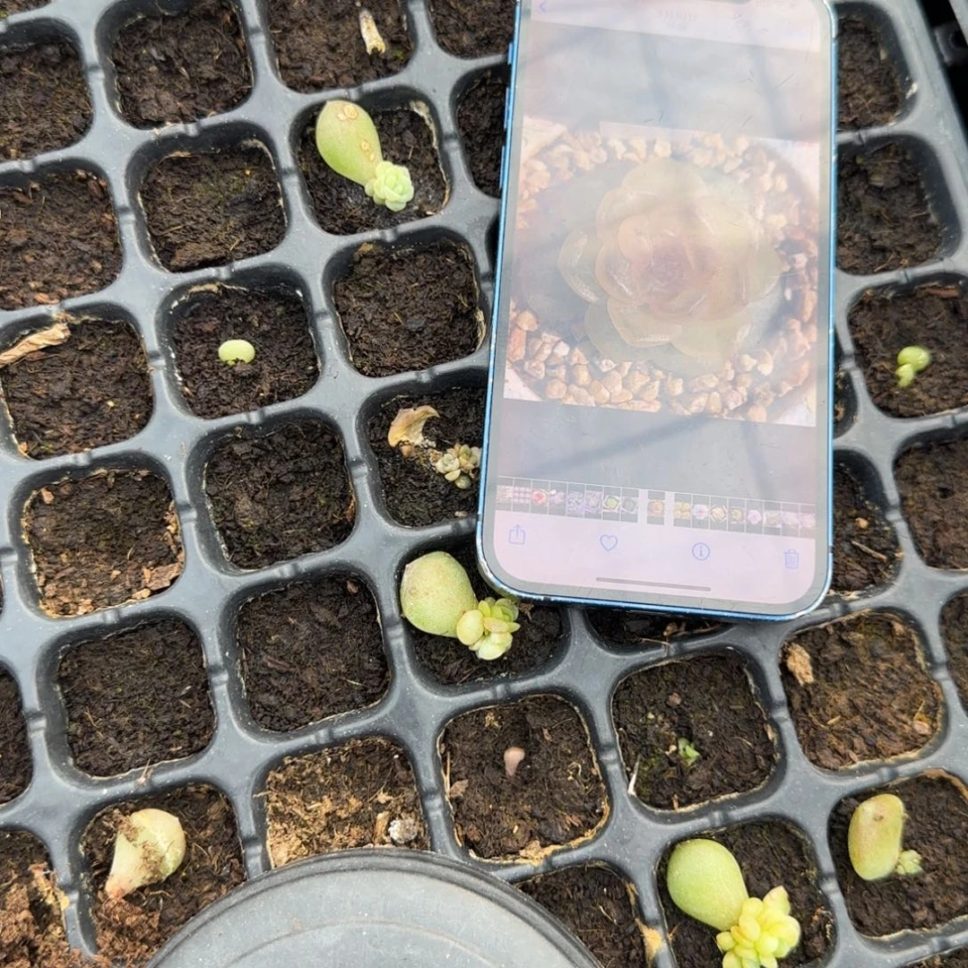 H64 穴一个满25包邮