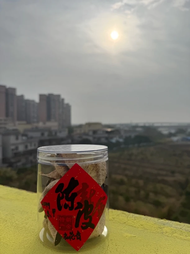 【福利老树晚青】2019年新会东甲青皮天然薄荷香持久生津断皮