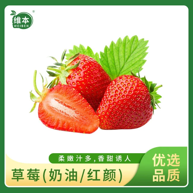 【农场自营】本地建德红红颜草莓250g