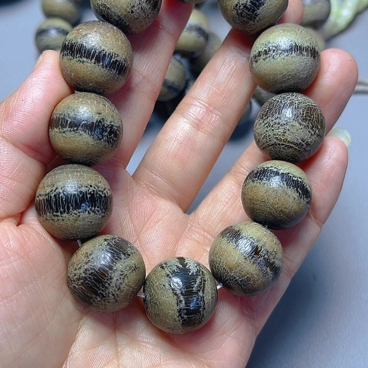 大果紫檀（缅甸花梨）