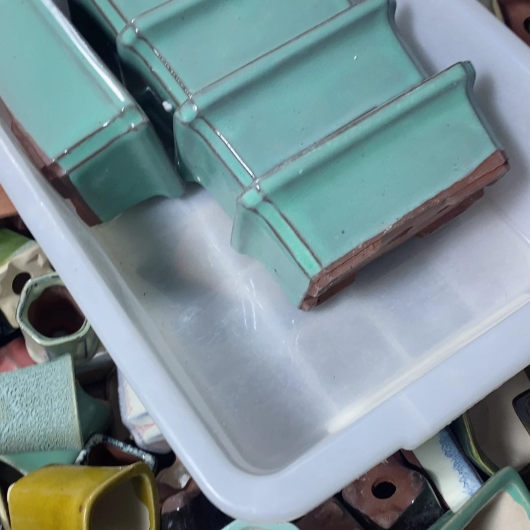 红陶大*今帅帅帅帅