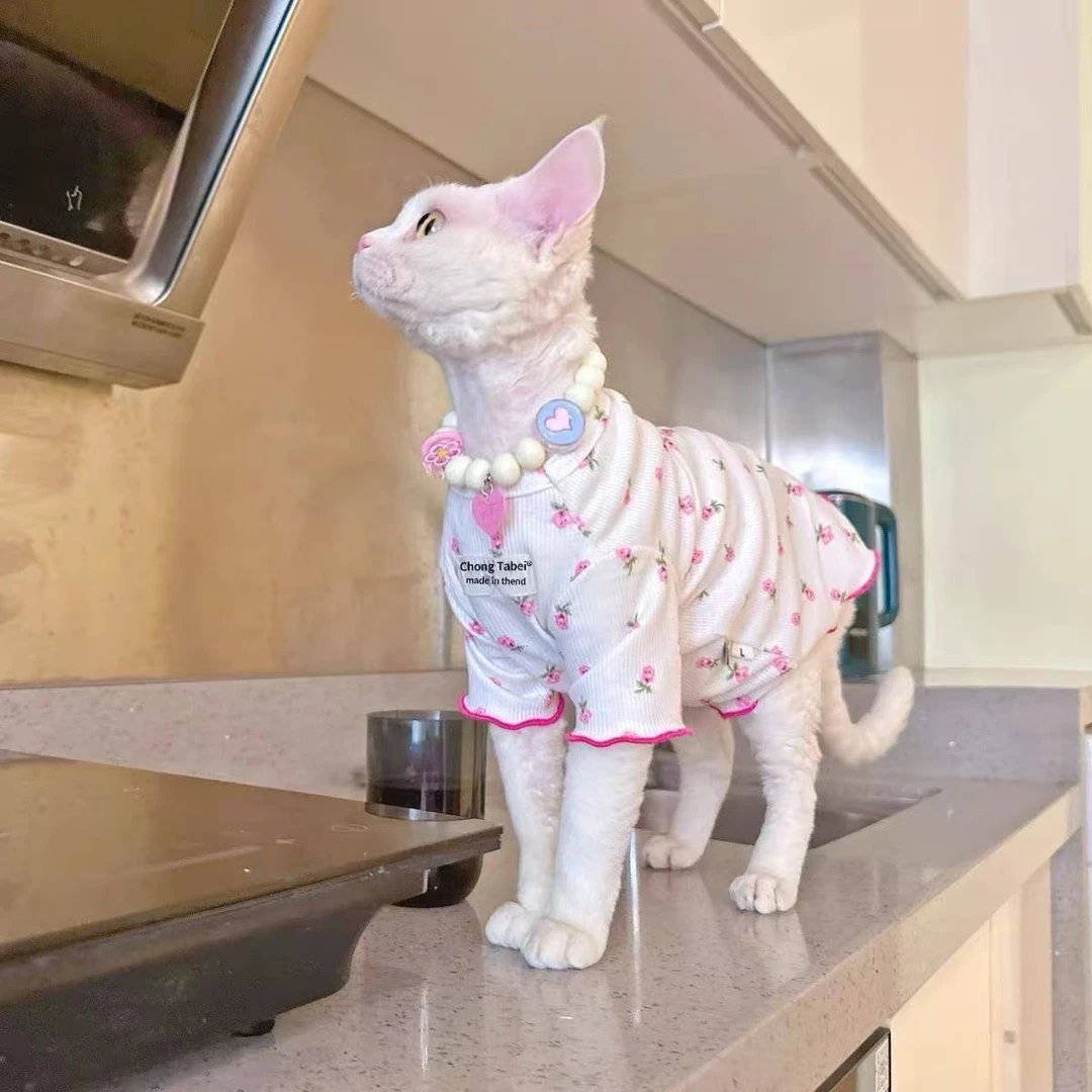 夏季猫咪碎花可爱甜美空调服斯芬克斯无毛猫德文适用宠物衣服薄款