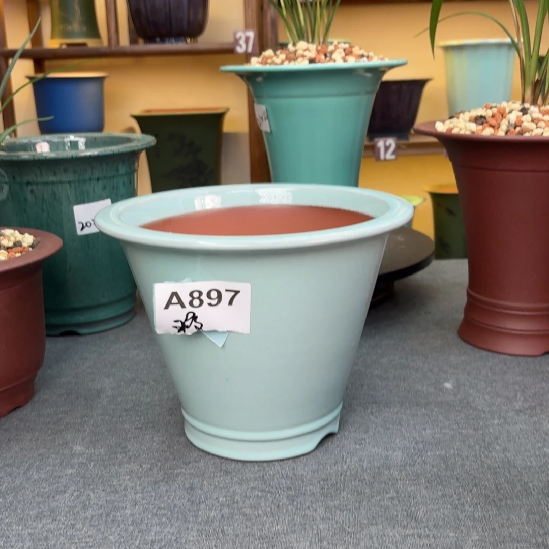 花盆紫砂兰花4555569265