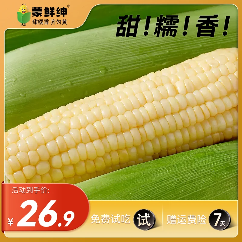 【试吃2支】蒙鲜绅白糯玉米内蒙河套糯玉米早餐代餐Q弹真空鲜玉米