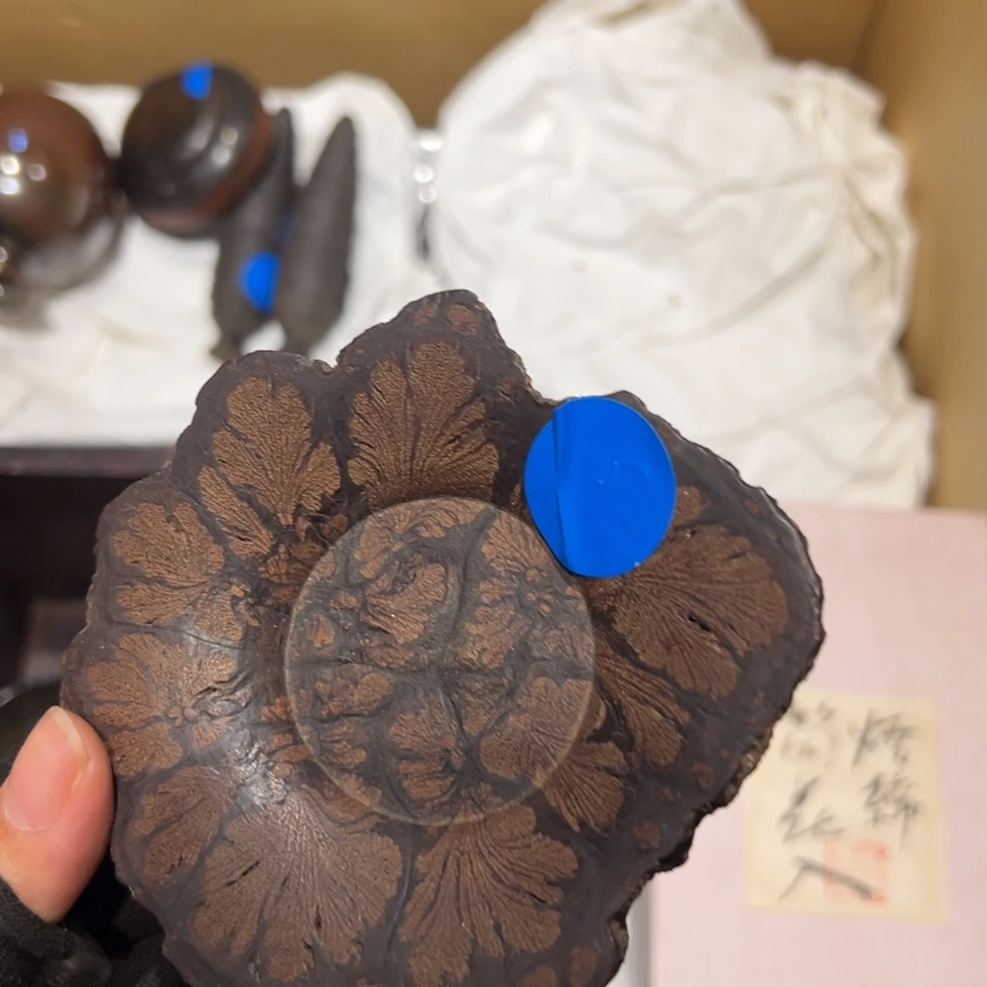 感***！瓷片哈哈哈哈哈哈哈哈