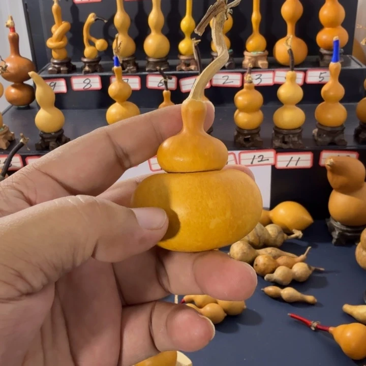无***双欢迎大家加入我们