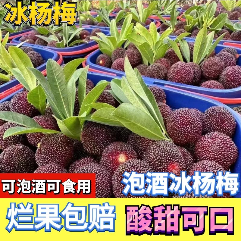 新鲜冰杨梅冷冻冰鲜杨梅冰冻非仙居冰冻杨梅泡酒一整箱冷链包邮