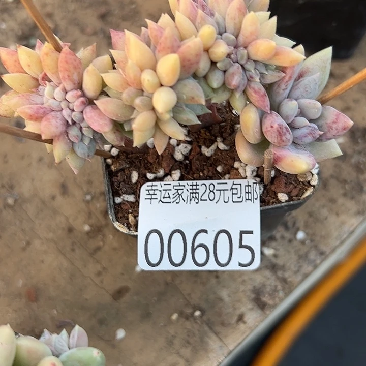 幸运的是我还没遇到