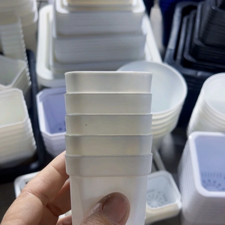 白方口5高5一组50