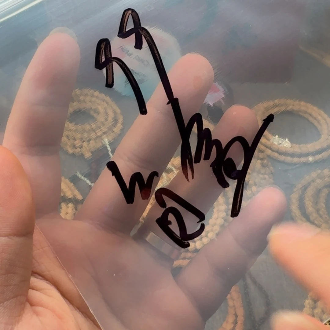 柏香籽/百香籽吊坠