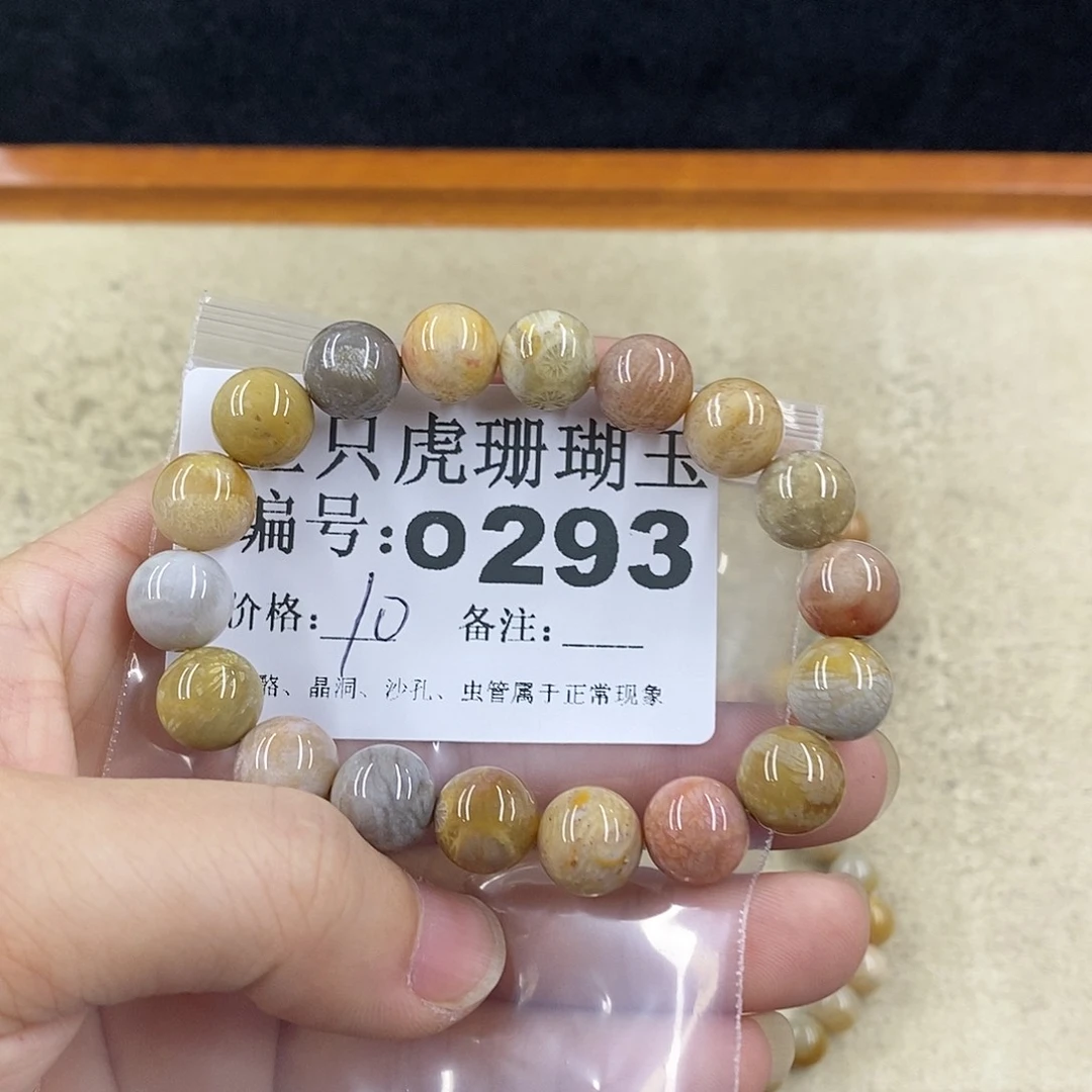 硅化珊瑚（珊瑚玉）1未镶嵌糖*