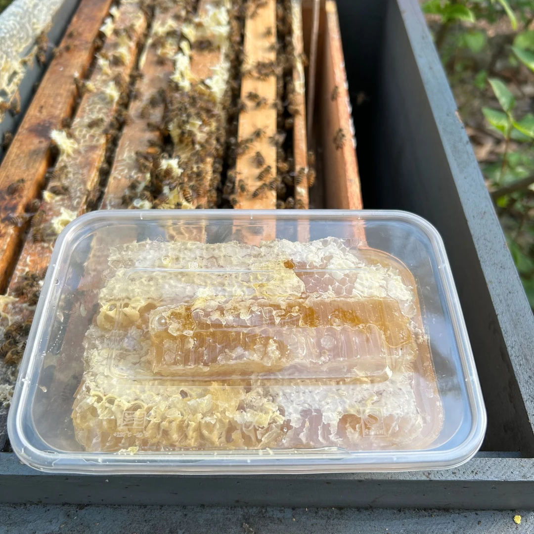 【郑东升专属】一村一品直播好货【蜂巢蜜】