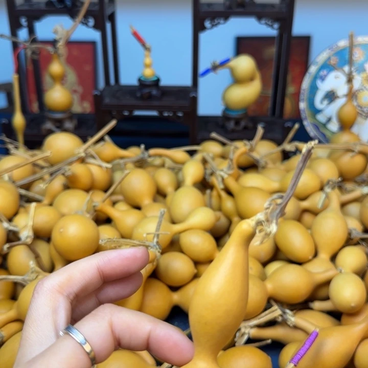 @***卒葫芦88888888888888