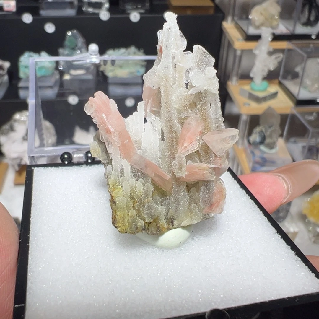 有机玻璃产地印度