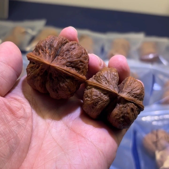 文玩核桃吊坠蝴蝶连体