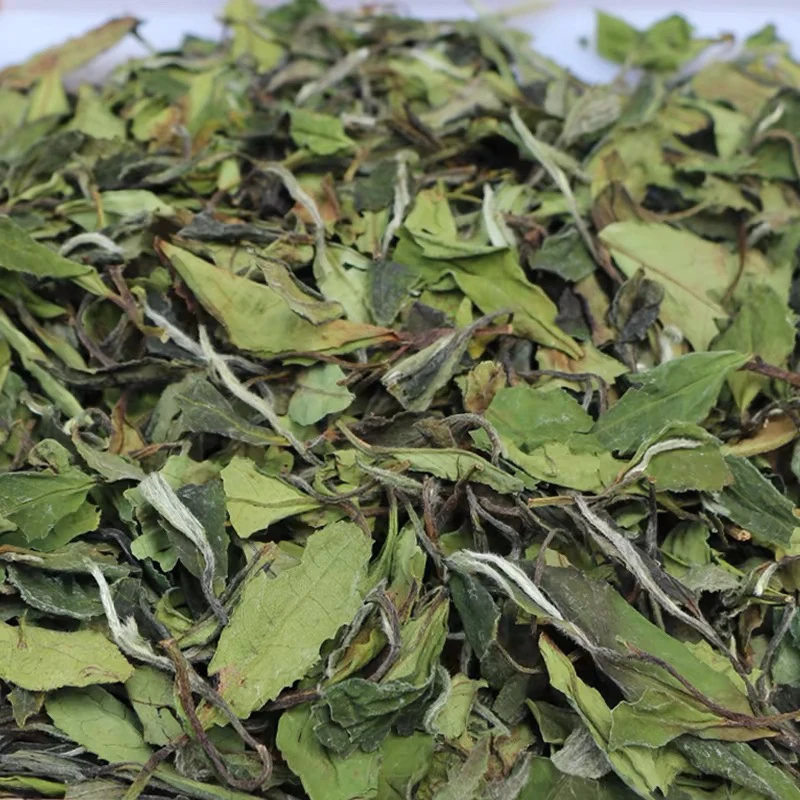 2025年头春，（古树单株白茶散茶）一芽一叶