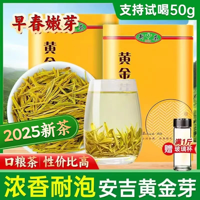 2025年新茶正宗黄金芽茶叶绿茶A1明前茶罐装送礼浓香支持开罐试喝