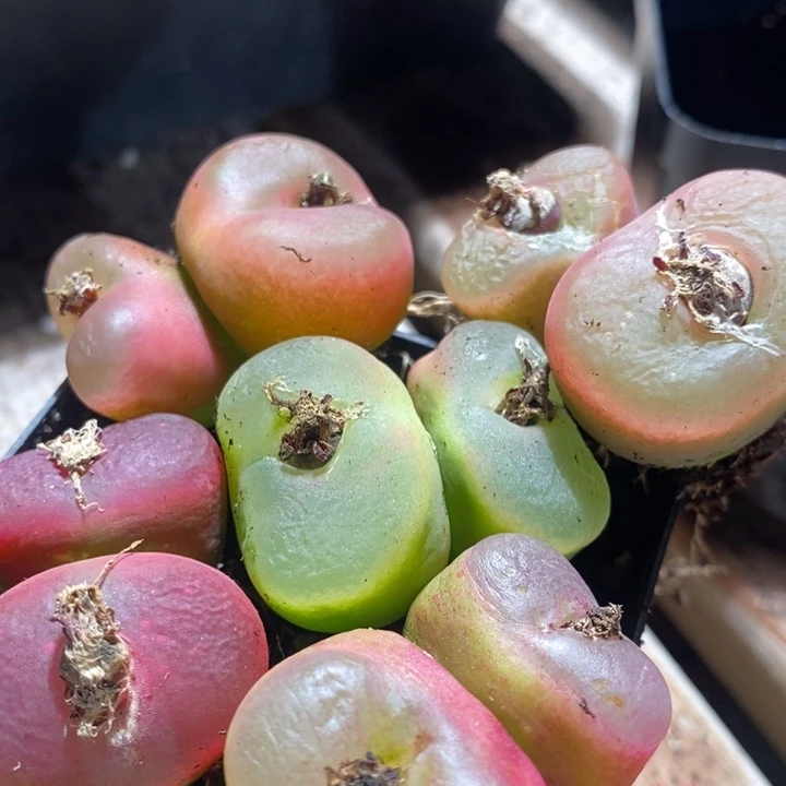 24167一组一组一组