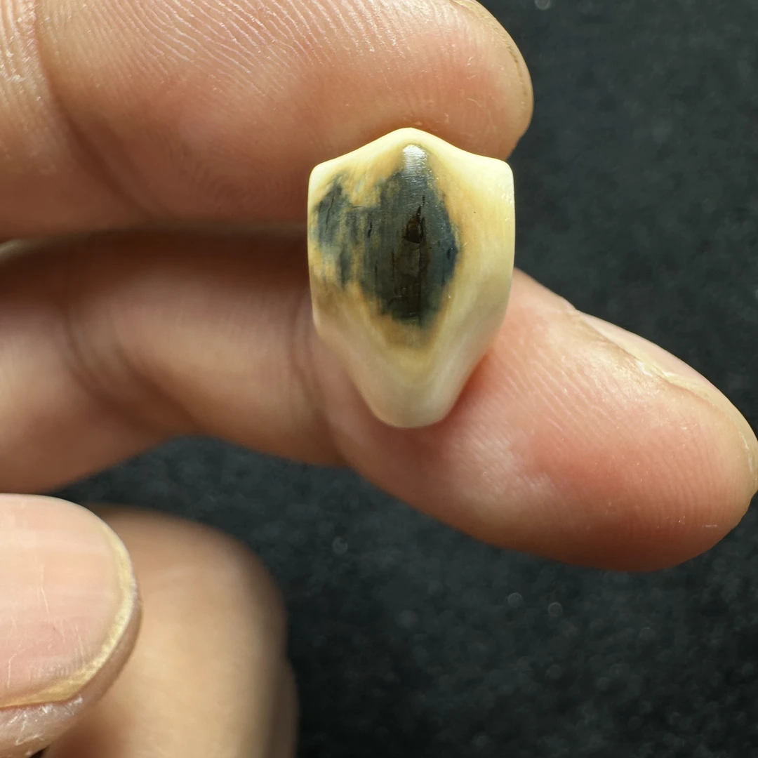 F292猛犸象牙对孔10mm冰料果冻鲨鱼背三通