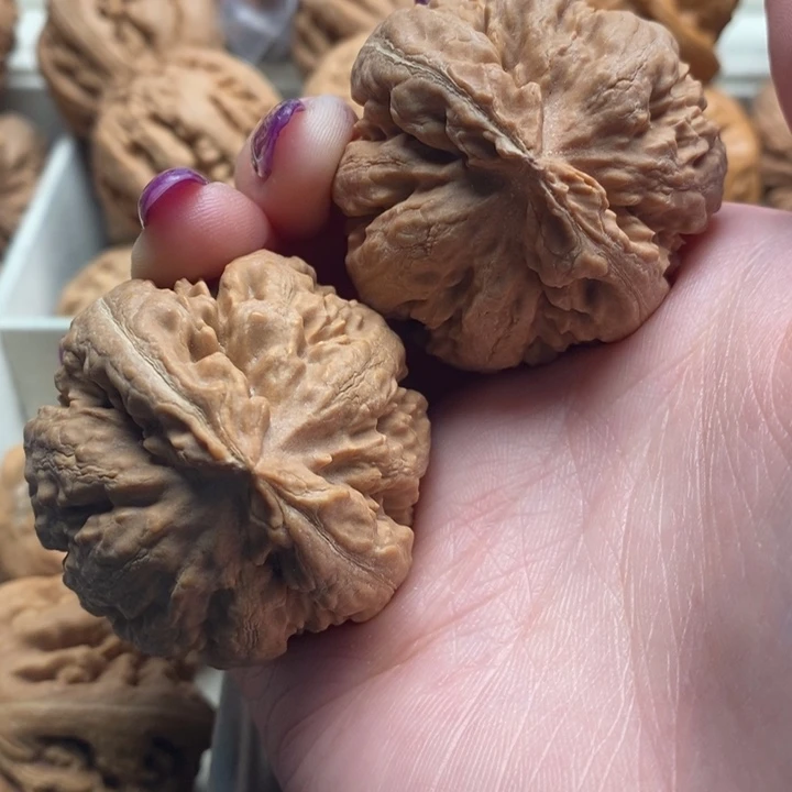 爱***哥吊坠文玩核桃霸王龙