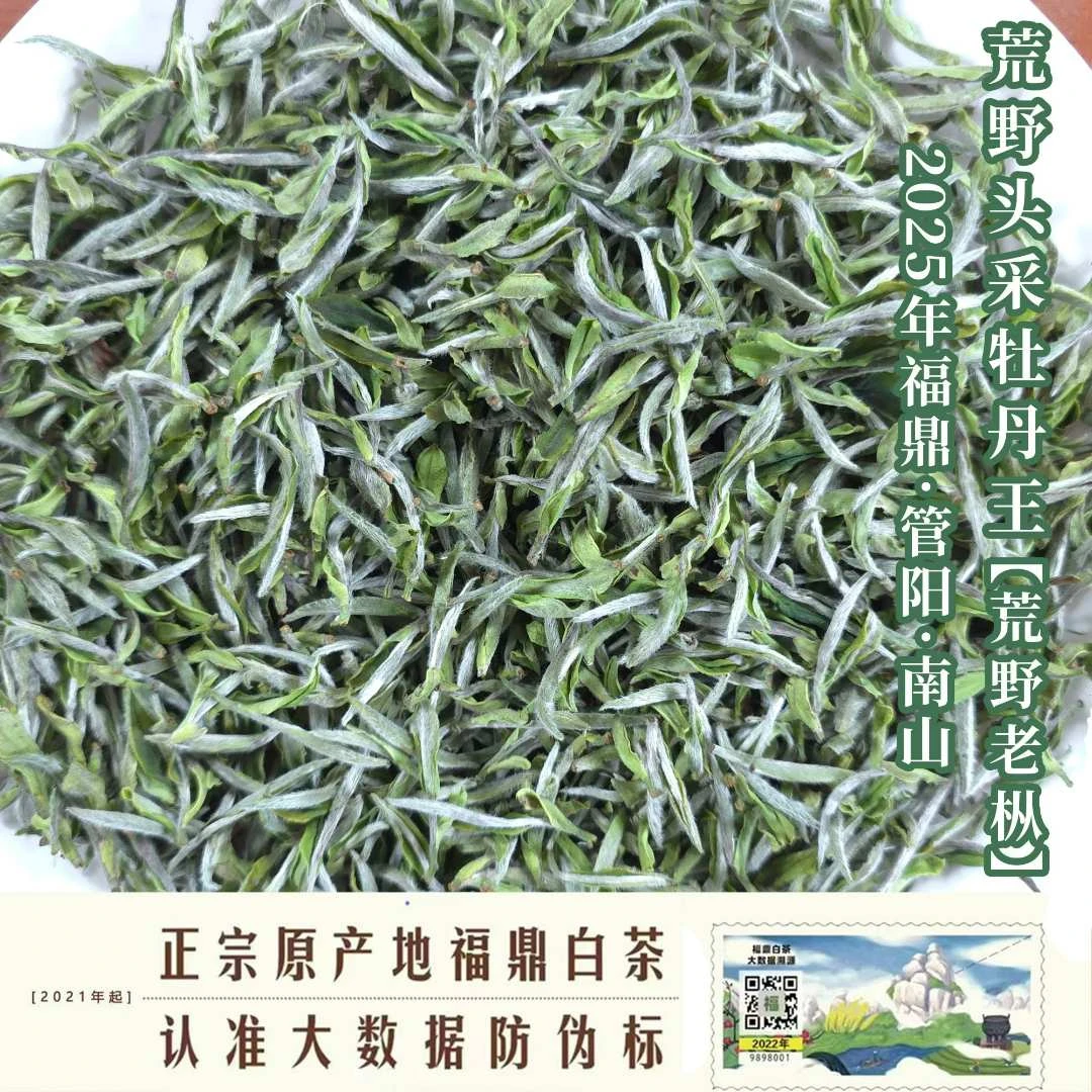 【管阳镇·思路和】2025年荒野头采·牡丹王特级散茶老枞海拔836米高