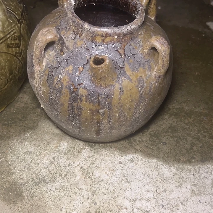 我的小可爱们都好可爱