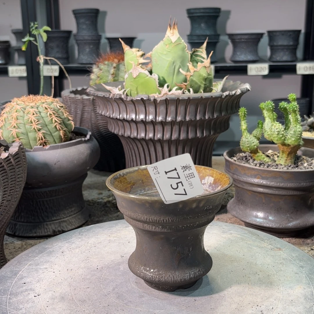 景德镇手工素里内口10高9