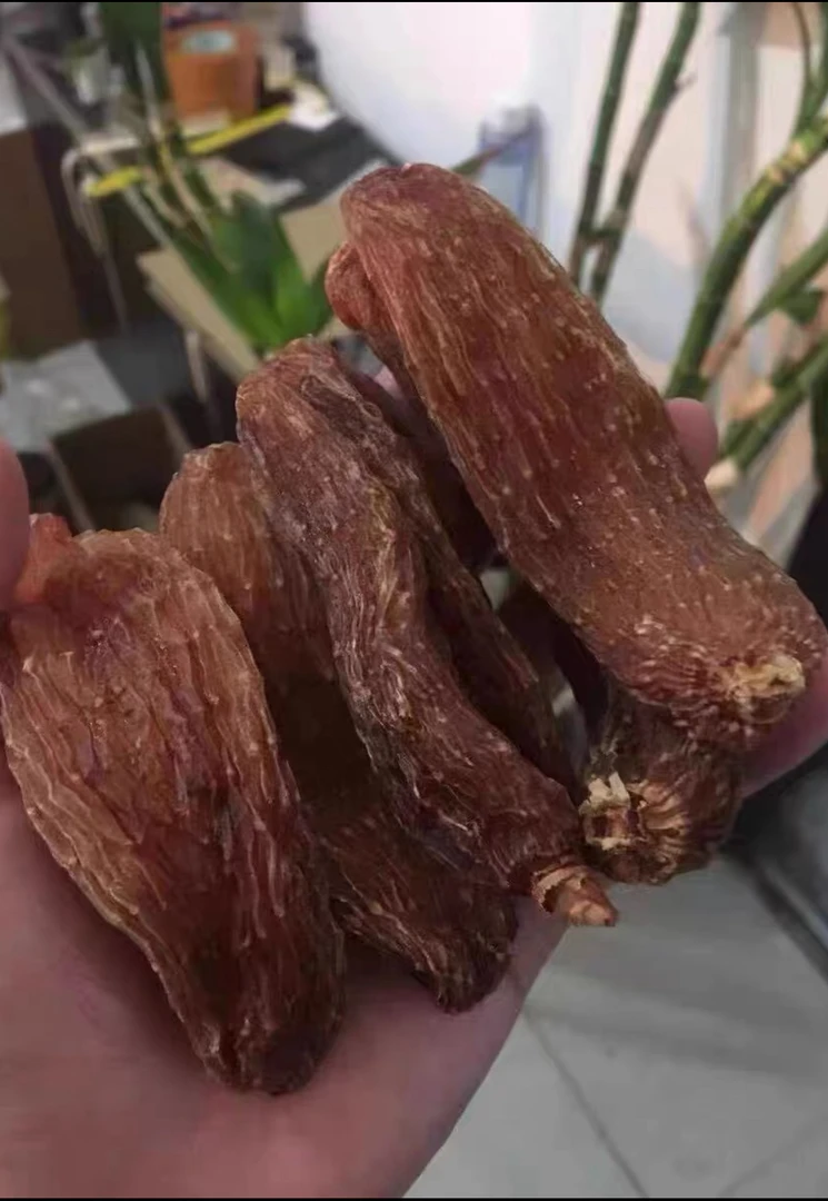 云南土特产龙血天麻正宗野天麻