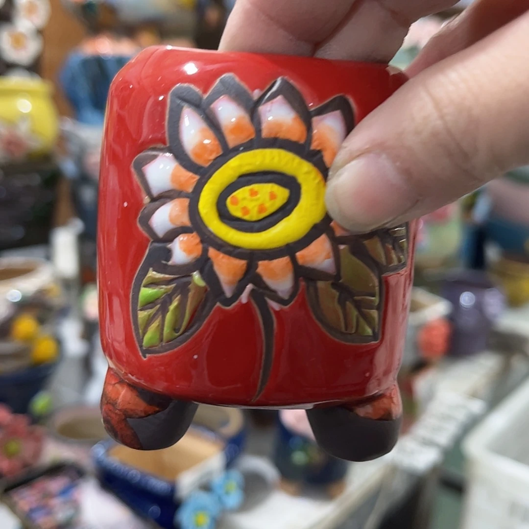 【闪购商品】红陶福利