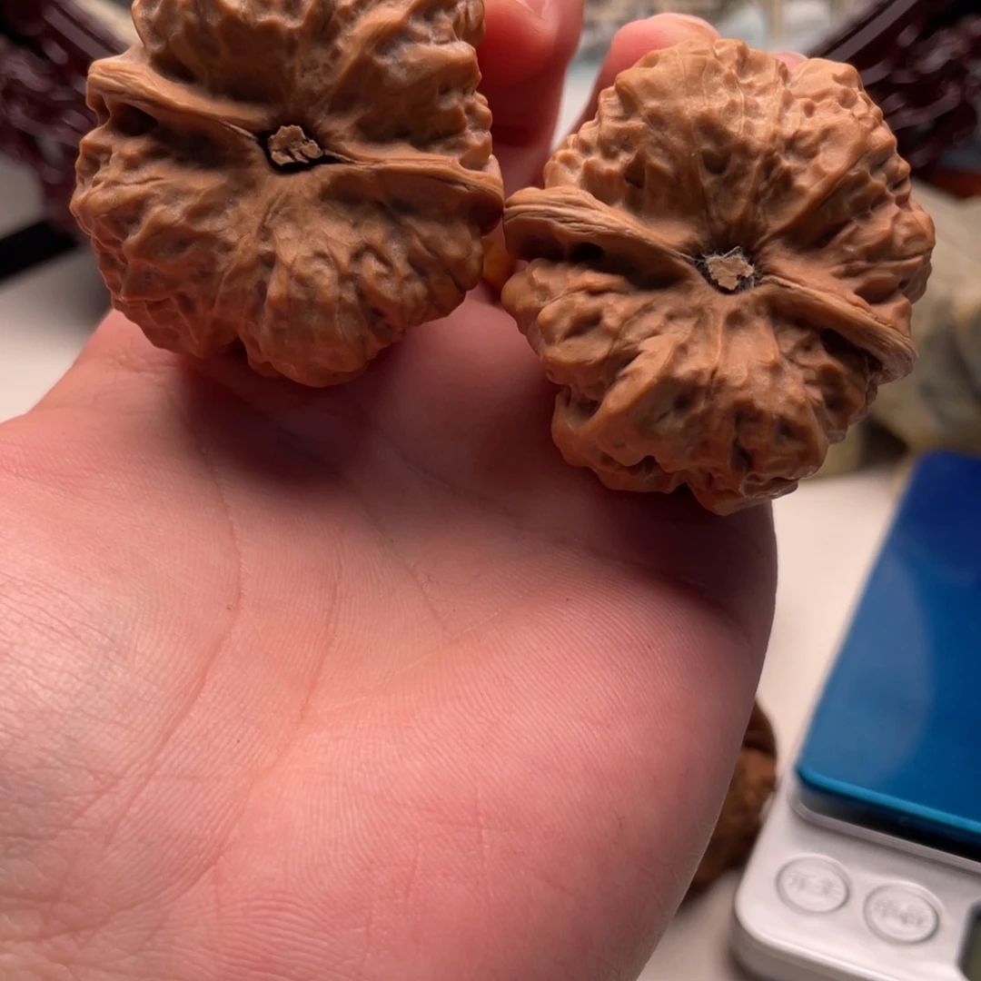 奶***傅核桃蛤蟆头文玩C19