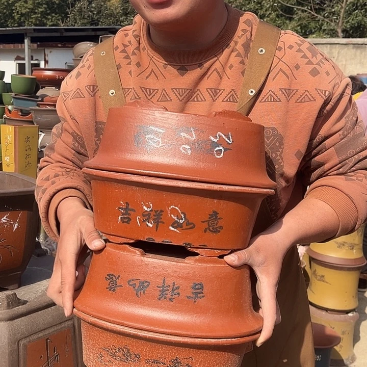 紫砂紫砂花盆盆栽