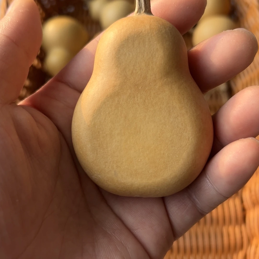 37 1葫芦不退不换无售后