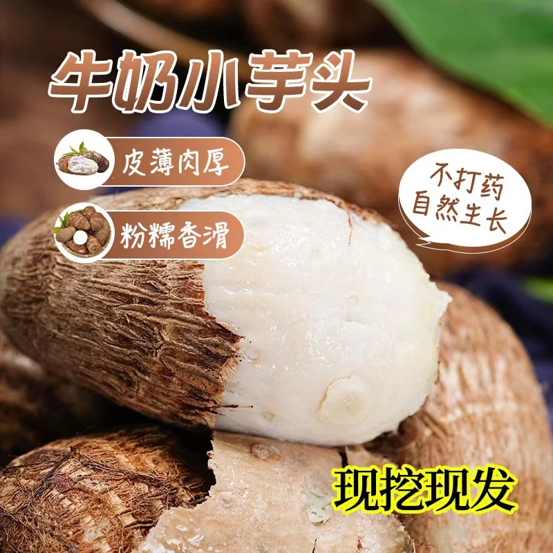 潍坊正宗小芋头肉质白嫩口感软糯丝滑毛芋头新鲜现货包邮