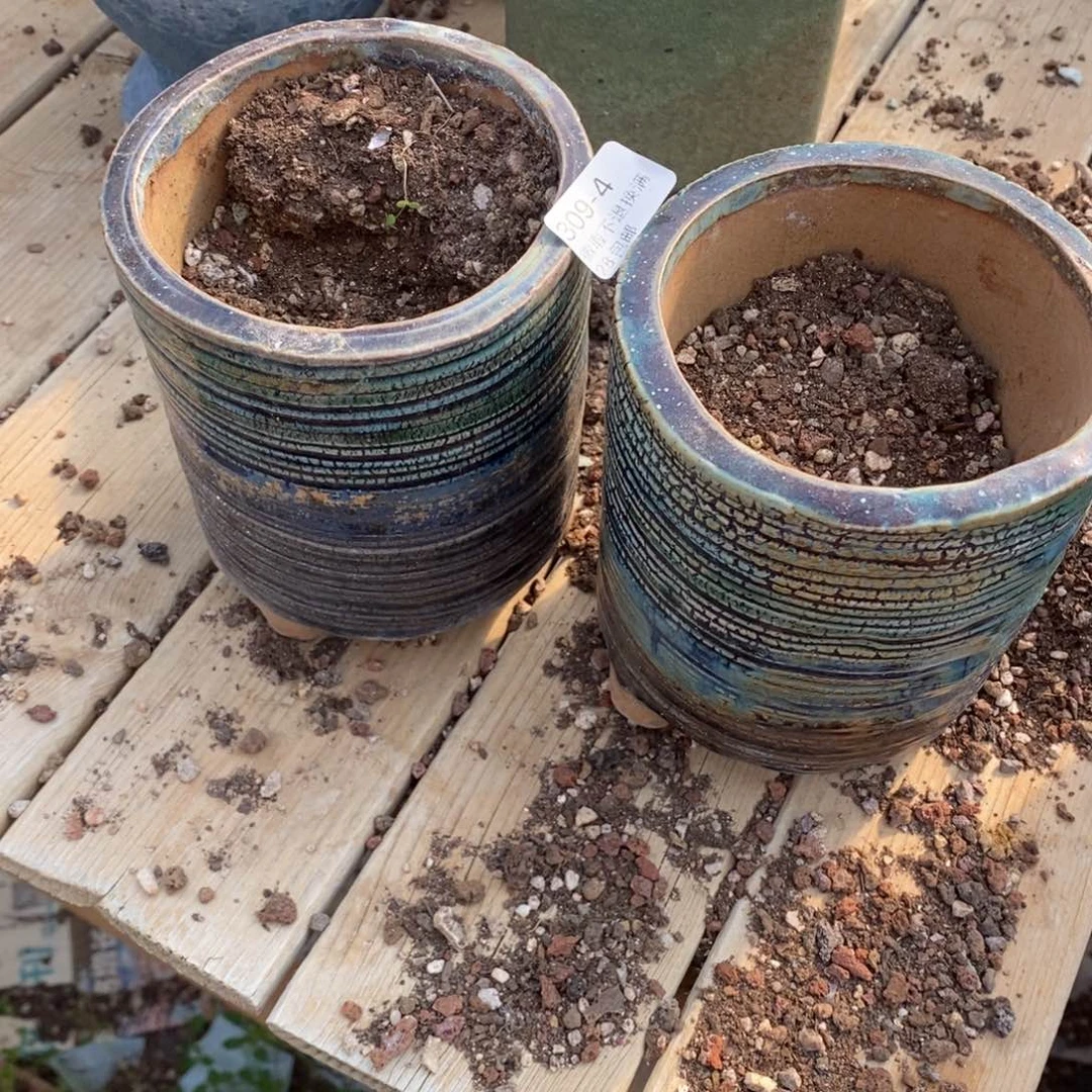 红陶༻****༺4号多肉盆两个