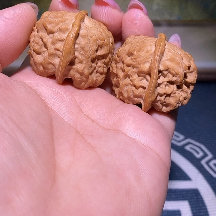 文玩核桃把件37野马蹄