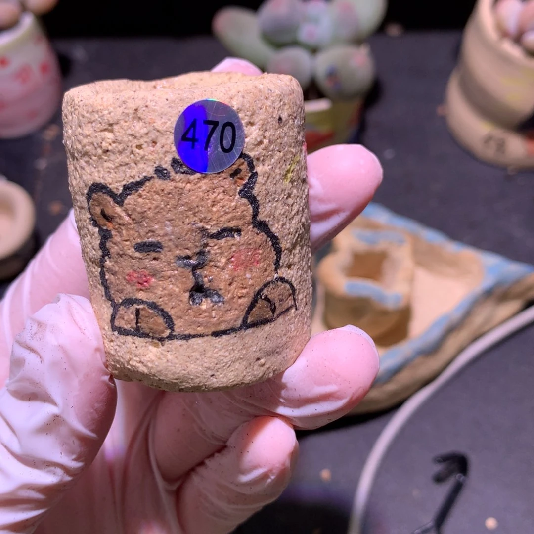 花盆哈哈哈哈哈哈哈哈哈470