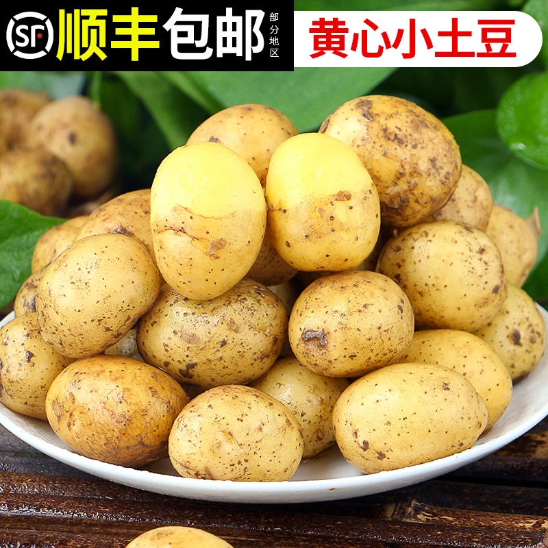 梦三峡黄心恩施小土豆整箱3/5/9斤顺丰包邮当季高山马铃薯蔬菜
