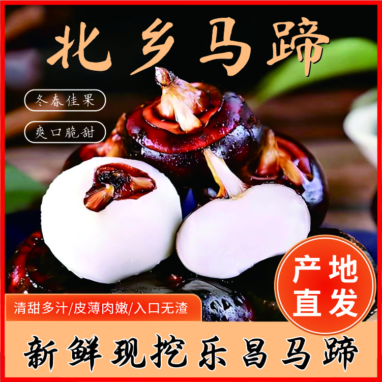 韶关北乡乐昌马蹄红皮水果牛奶马蹄王荸荠5斤脆甜清爽无渣马蹄