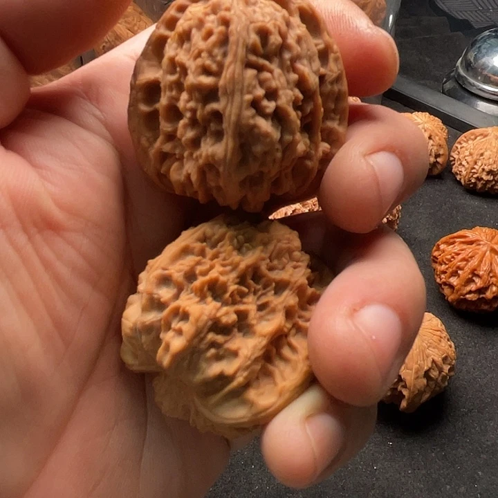 星***落核桃全品山地红皮南疆